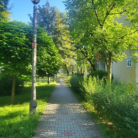 Przytulne Mieszkanie Wola Duchacka Διαμέρισμα Krasków Εξωτερικό φωτογραφία
